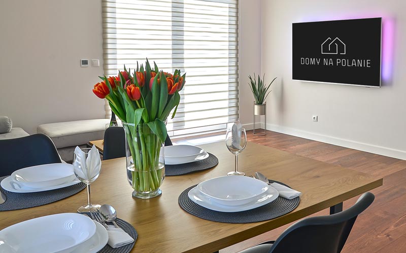 Domy na Polanie - wysoki komfort